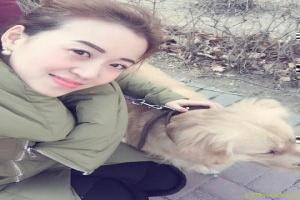 机器人总动员手机壁纸|